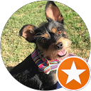 Carla Camarero profile picture